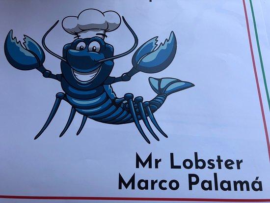 Mr Lobster Marco Palama